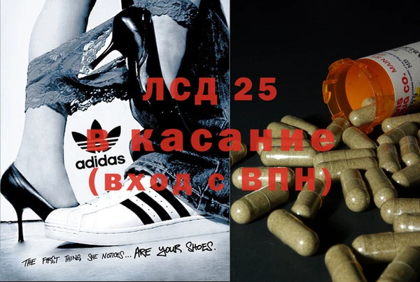 амф Надым