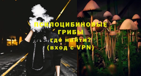 амф Надым