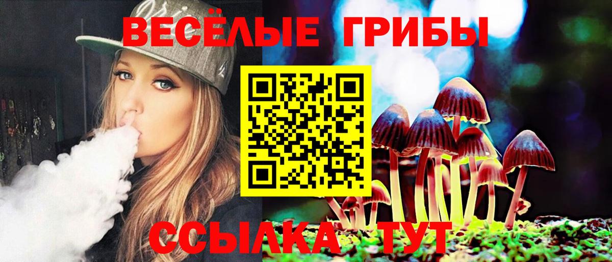 Псилоцибиновые грибы Cubensis Краснокамск