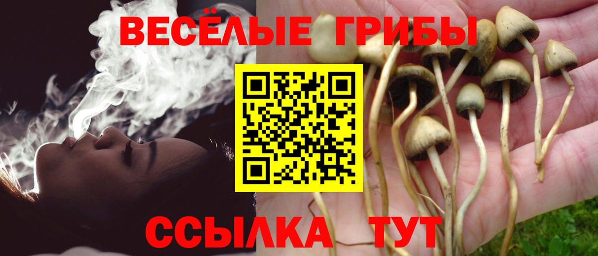 Псилоцибиновые грибы Psilocybine cubensis  Вход с VPN  Краснокамск 